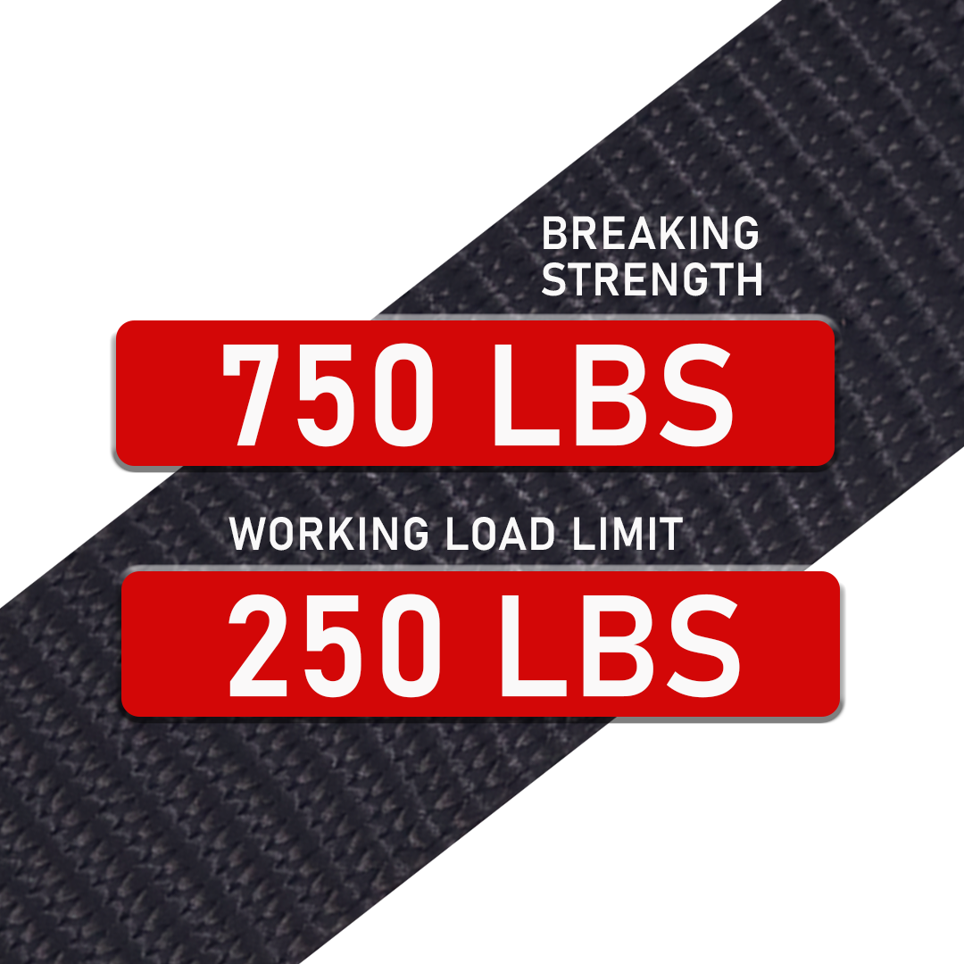 1" x 10' Stainless Steel Ratchet Strap with Carabiner Snap Hooks - 750 lbs. Working Load Limit