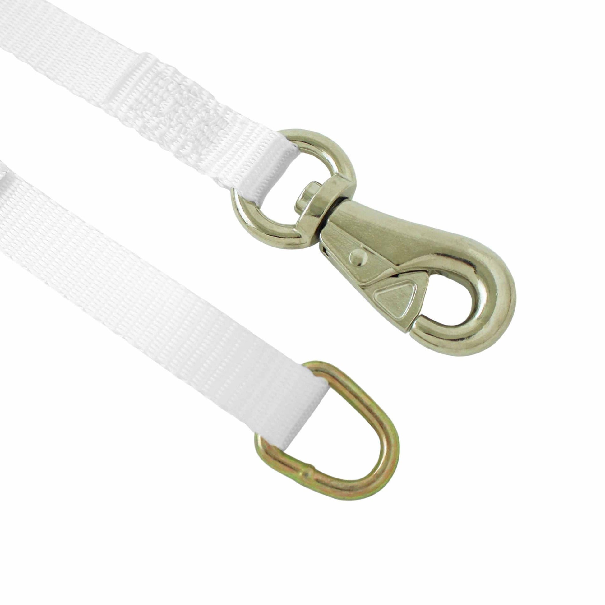 1 Inch Cam Buckle Tie Down with D Ring and Tent Snap Hook - Boxer Tools