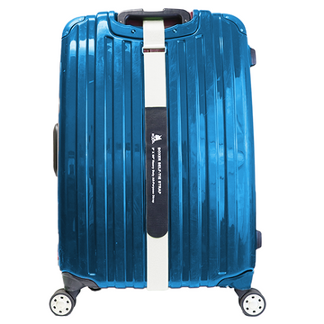 Buy silver Boxer TravelGuard Velcro Luggage Straps