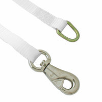 1 Inch Ratchet Tie Down with D Ring and Tent Snap Hook - Boxer Tools