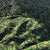 Camouflage Protection Pad - 54 Inch by 72 Inch - Boxer Tools